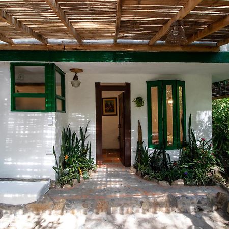 Finca Los Abuelos - La Planta Concepcion Ngoại thất bức ảnh