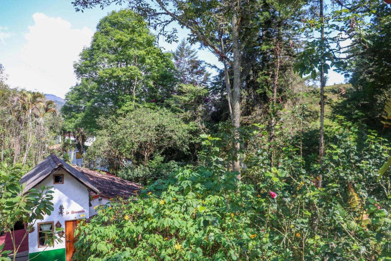 Finca Los Abuelos - La Planta Concepcion Ngoại thất bức ảnh