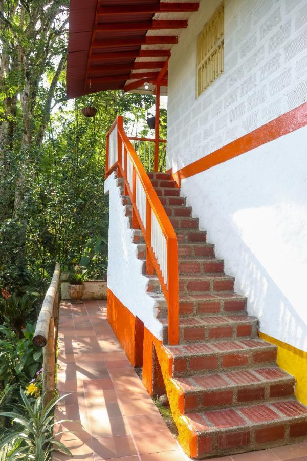 Finca Los Abuelos - La Planta Concepcion Ngoại thất bức ảnh