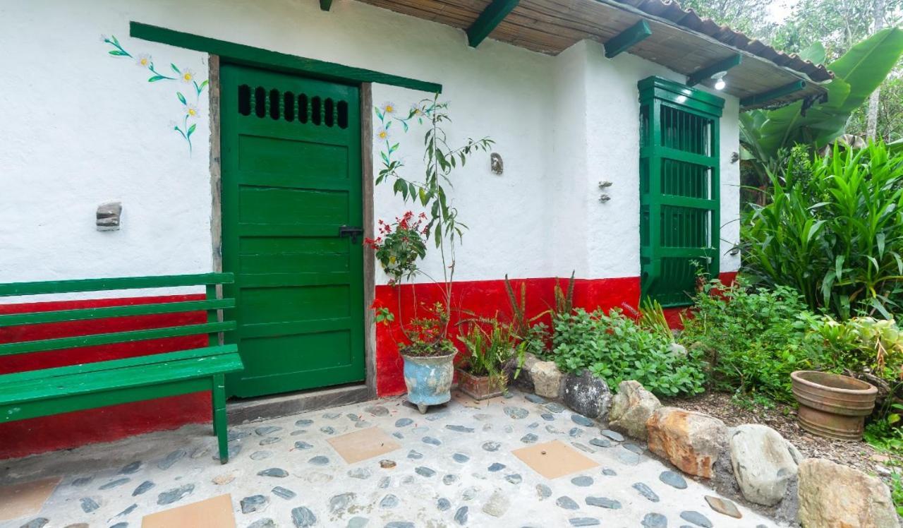 Finca Los Abuelos - La Planta Concepcion Ngoại thất bức ảnh