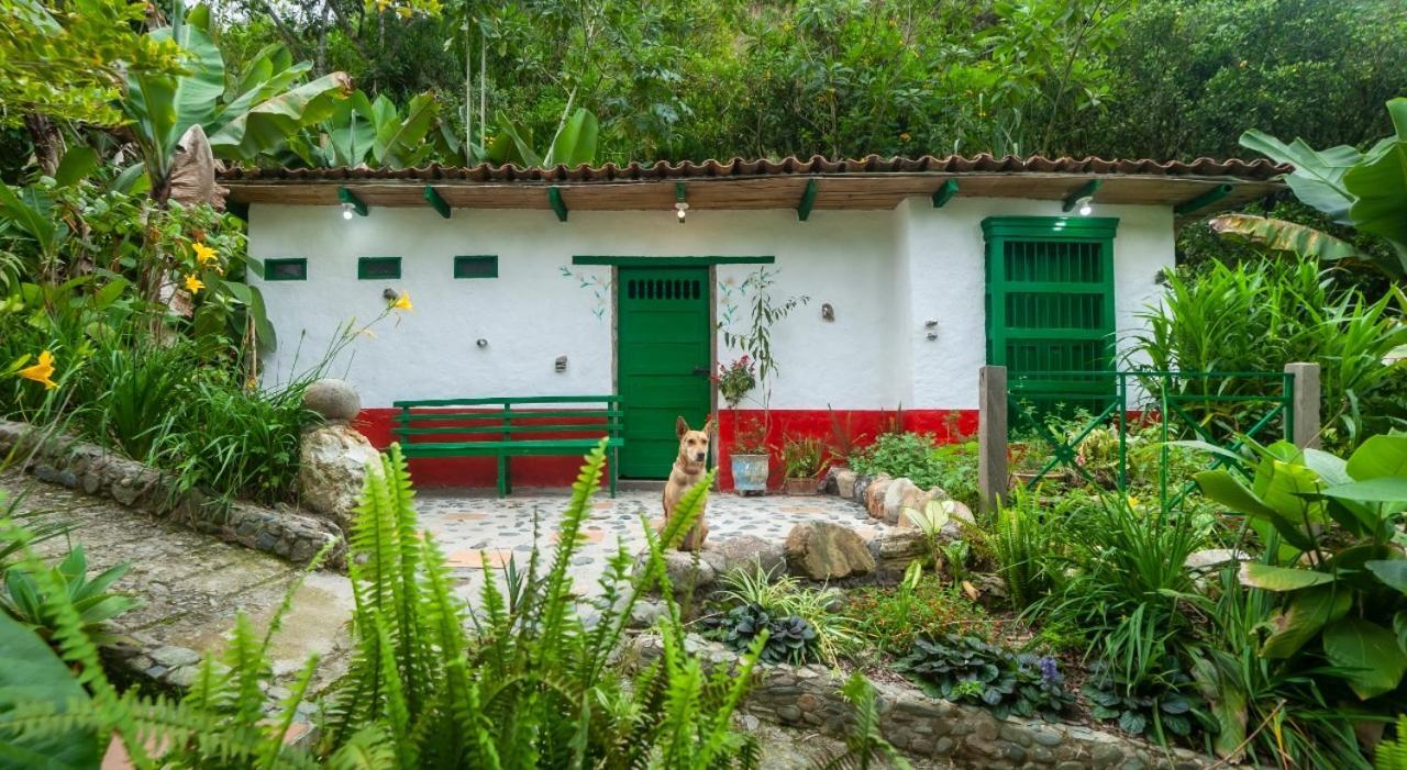 Finca Los Abuelos - La Planta Concepcion Ngoại thất bức ảnh